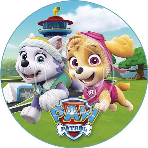 PAW-026
